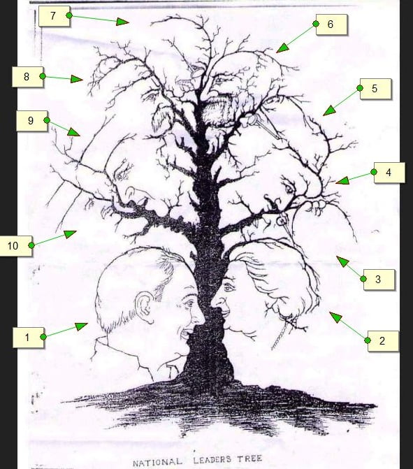Face4Solution