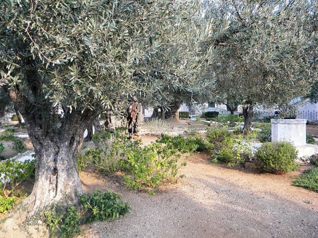 Fotó: Wikimedia.org