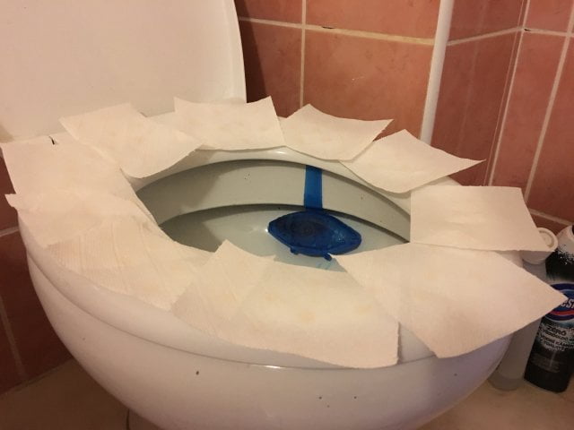 wc-papir-wcen