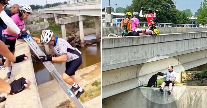 Biciklisek mentették meg a híd tartógerendáján rekedt, megrémült kutyát