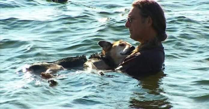 Megható kép örökítette meg a férfi és beteg kutyája kötelékét, amint együtt fürödtek a tóban