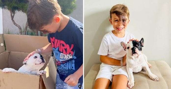 enzo A szülők meglepték egyedi anyajeggyel született kisfiukat egy kutyával, ami pont úgy néz ki, mint ő