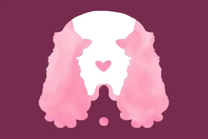 kutya-macska-illuzio Melyik állatot látod meg először? Figyelem, az első reakciód elárulja az igazi rejtett személyiséged!