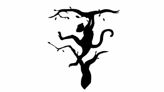 oprikai-csalodas Illúzió személyiségteszt: Az, amit először látsz meg a képen, feltárja az elméd rejtett erejét