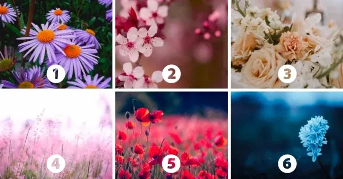 Személyiségteszt: a virág, amit ösztönösen választasz, felfedi legbensőbb énedet