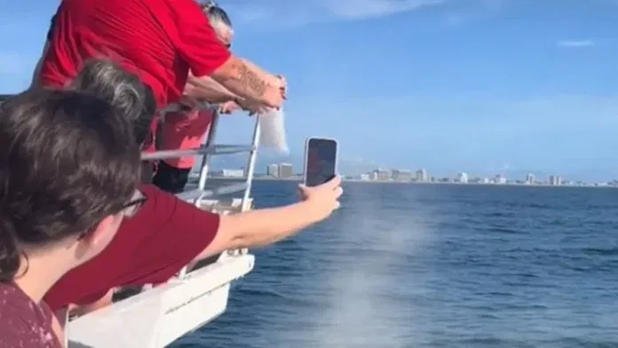 A nő a tengerbe szórta nagyapja hamvait és elképesztő élményben volt része, amikor delfinek jelentek meg a hajó mellett