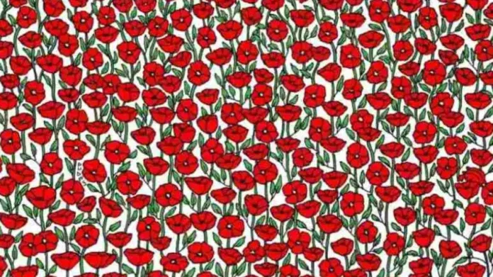 2024 legnehezebb optikai illúziója: csak a zsenik találják meg a pipacsok közt rejtőző rákot 5 másodperc alatt!