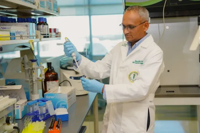 A tudósok felfedezték, hogy az ultra-feldolgozott élelmiszerek hozzájárulhatnak a vastagbélrák kialakulásához Férfi kutató a laboratóriumban