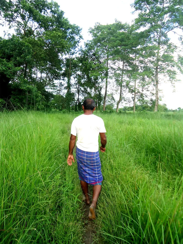 Jadav Payeng